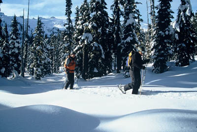 Snowshoeing at Ski Callaghan